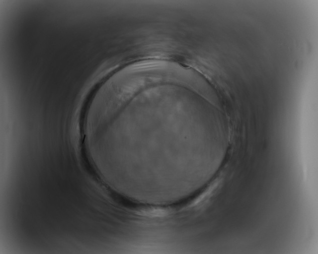 X0000089720198200707121437