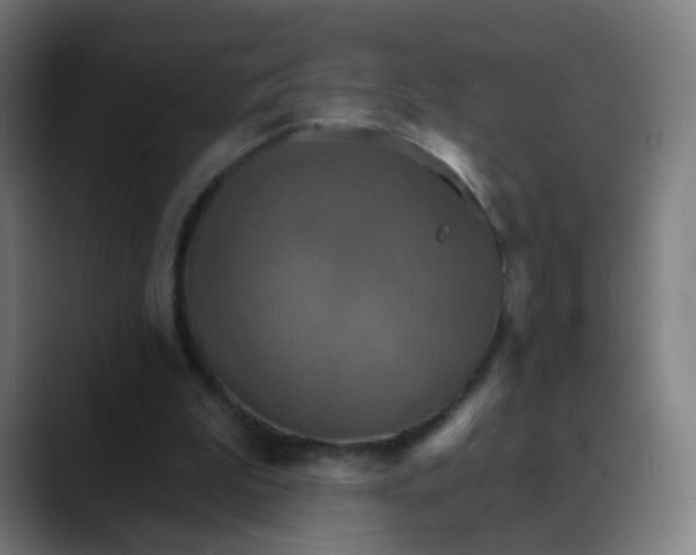 X0000089720199200707121437