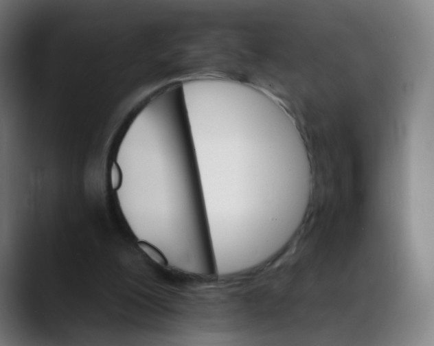 X0000089720200200707121437