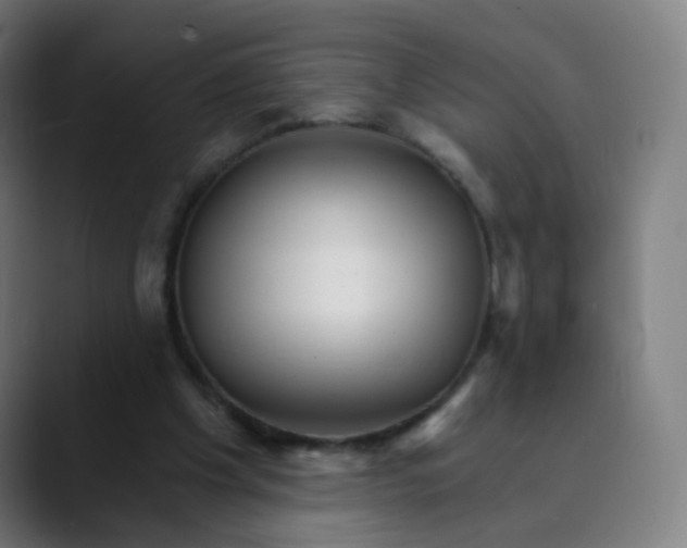 X0000089720201200707121437