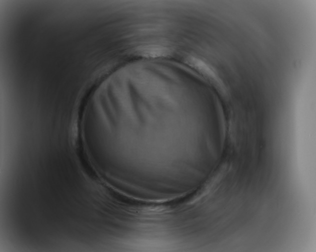 X0000089720202200707121437