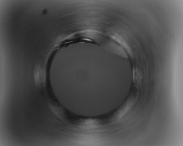 X0000089720204200707121437