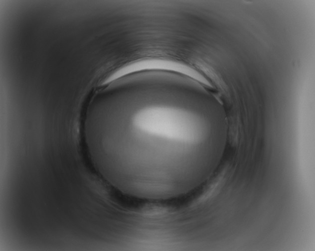 X0000089720207200707121437