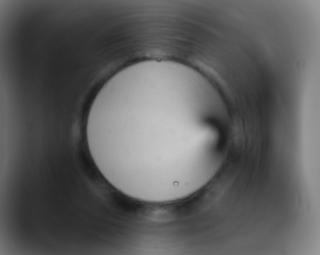 X0000089720208200707121437