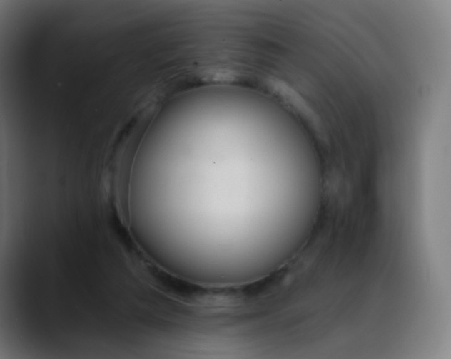 X0000089720209200707121437