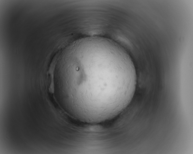 X0000089720210200707121437