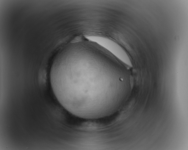 X0000089720211200707121437