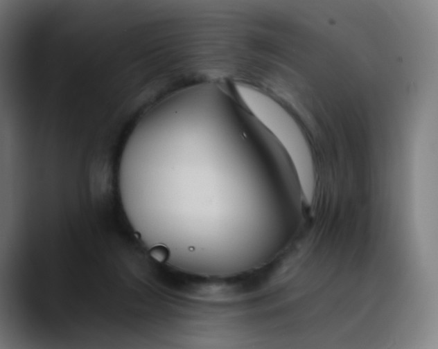 X0000089720212200707121437