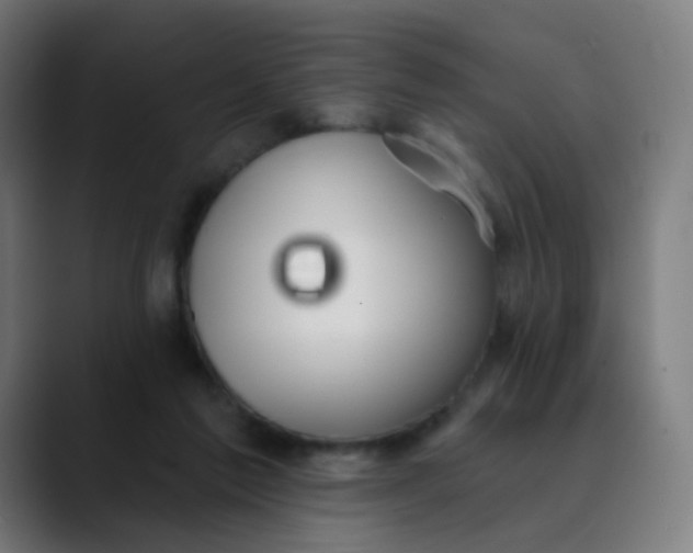 X0000089720213200707121437