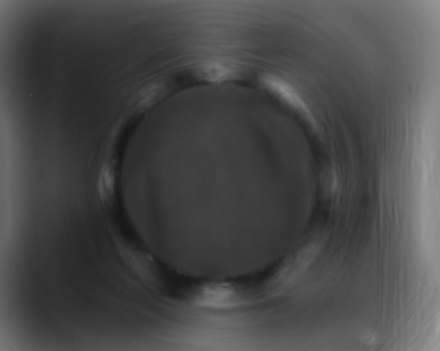 X0000089720214200707121437