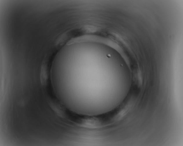 X0000089720215200707121437