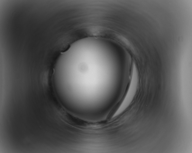 X0000089720217200707121437