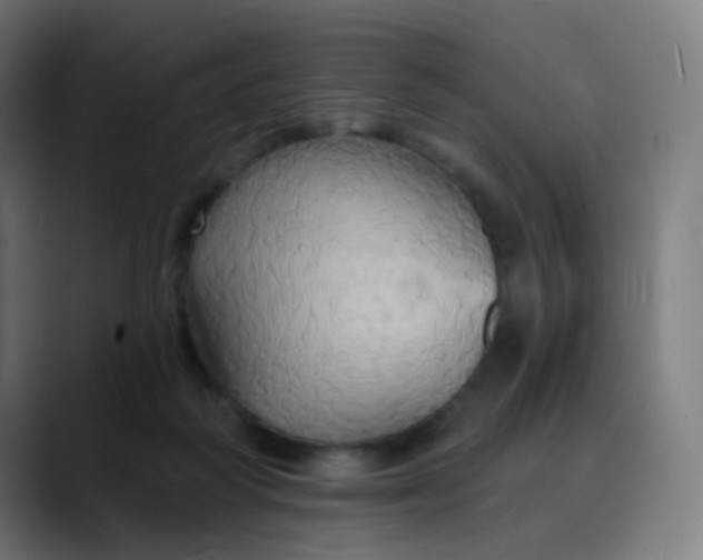 X0000089720218200707121437