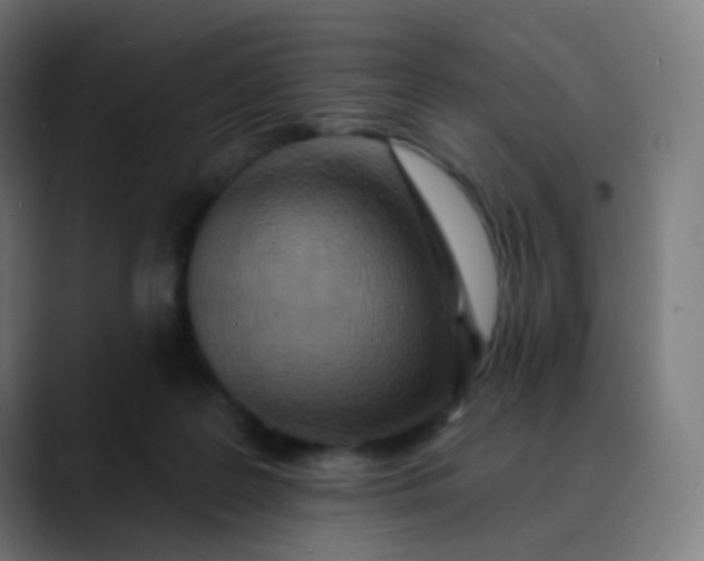 X0000089720219200707121437