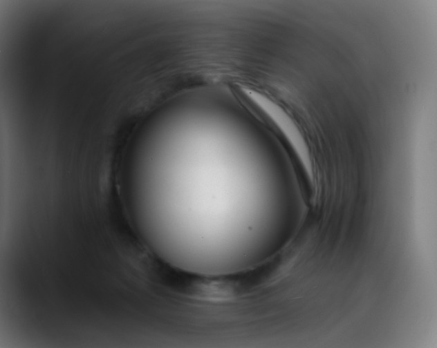 X0000089720221200707121437