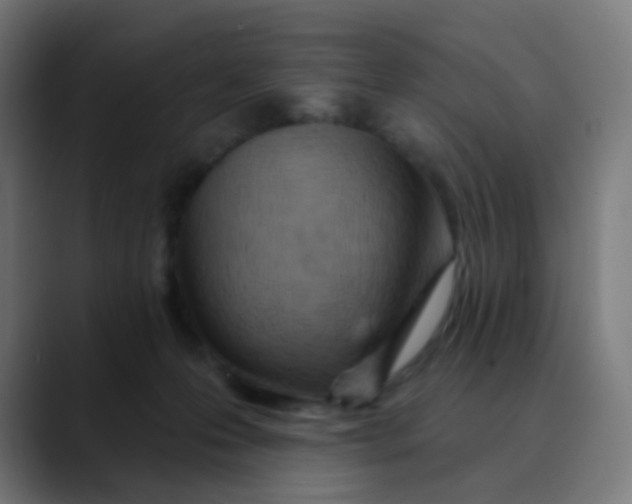 X0000089720223200707121437