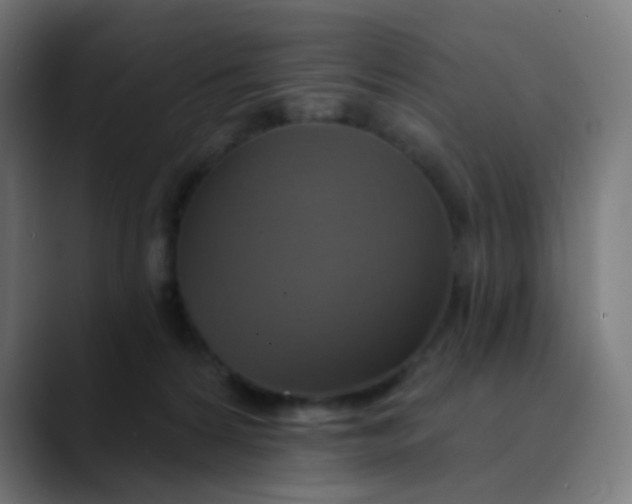 X0000089720224200707121437