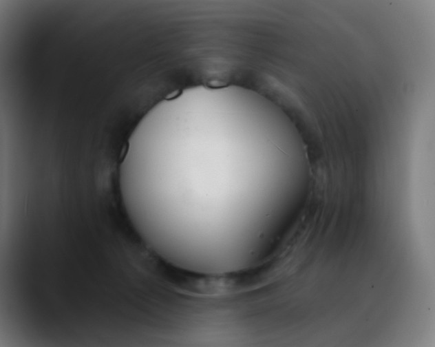 X0000089720225200707121437