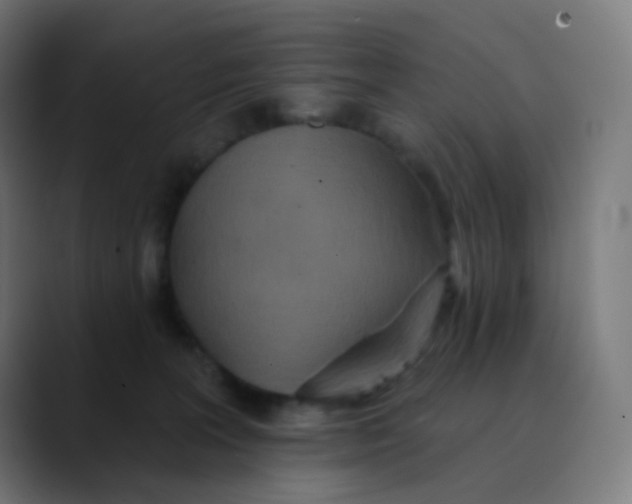 X0000089720227200707121437