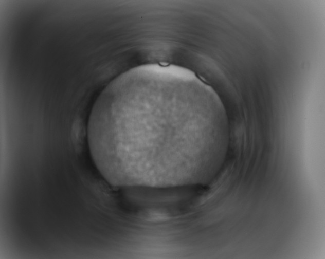 X0000089720228200707121437