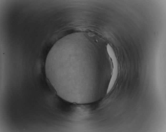 X0000089720229200707121437