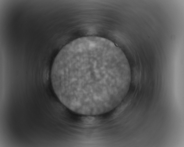 X0000089720230200707121437