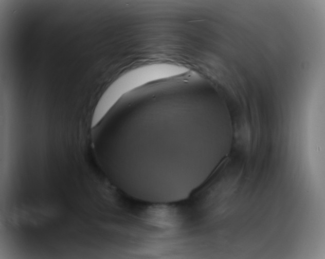 X0000089720231200707121437