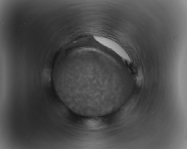 X0000089720232200707121437