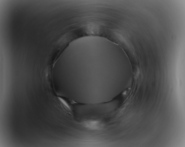 X0000089720233200707121437