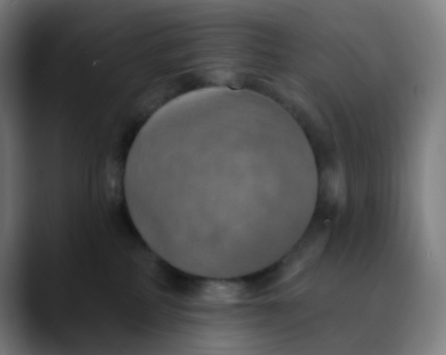 X0000089720234200707121437