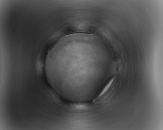 X0000089720235200707121437