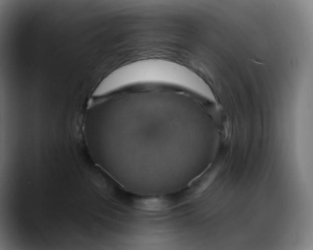 X0000089720237200707121437