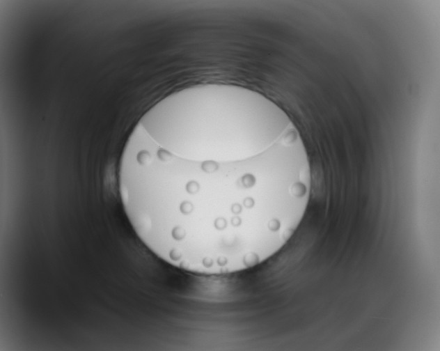 X0000089720238200707121437