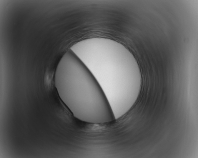 X0000089720239200707121437