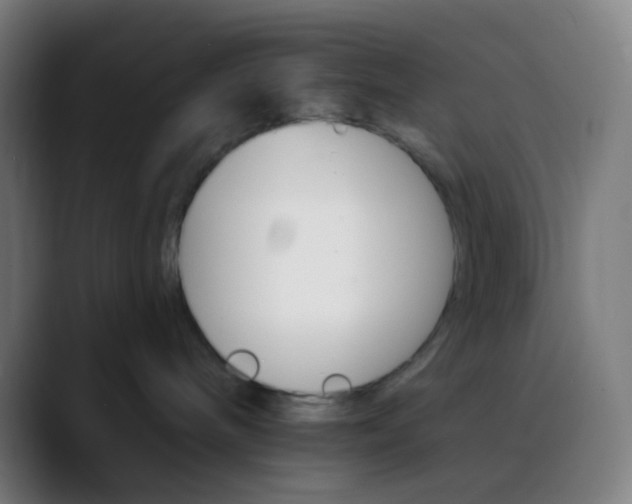 X0000089720240200707121437