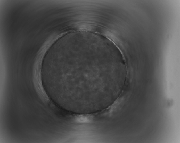 X0000089720241200707121436