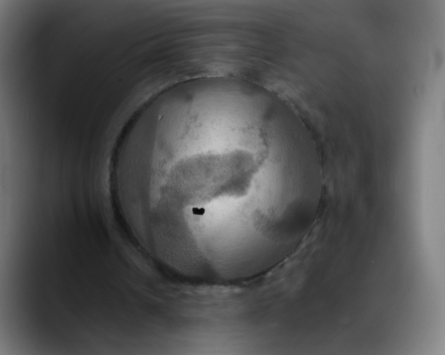 X0000089720242200707121436