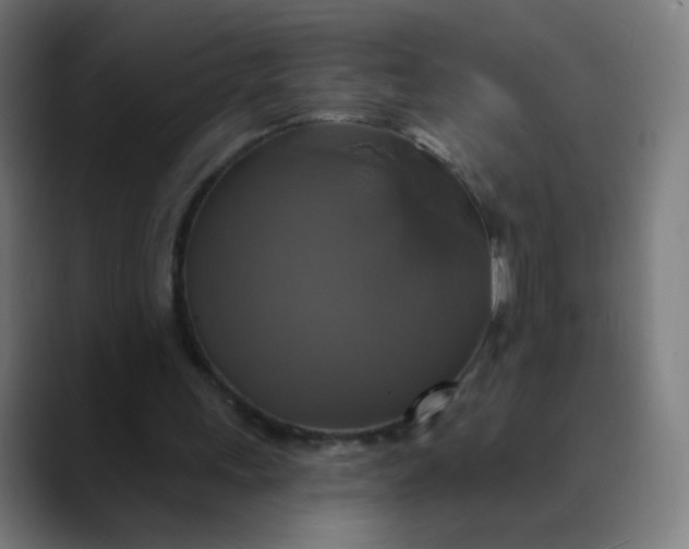 X0000089720243200707121436