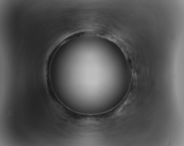 X0000089720244200707121436