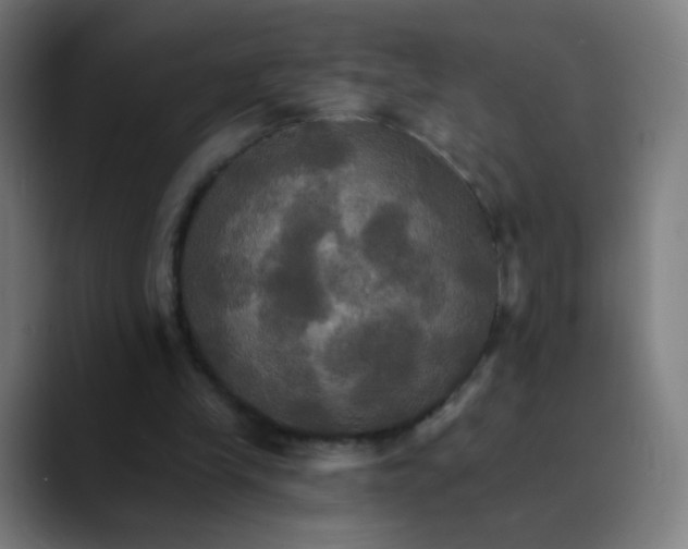 X0000089720245200707121436