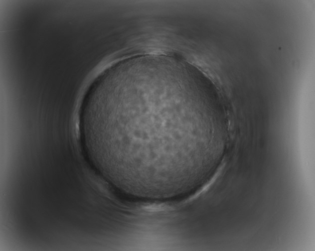 X0000089720246200707121436