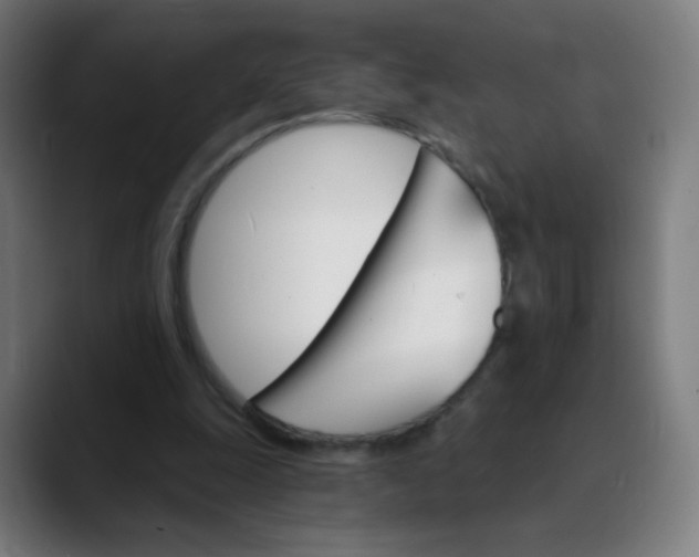 X0000089720247200707121436