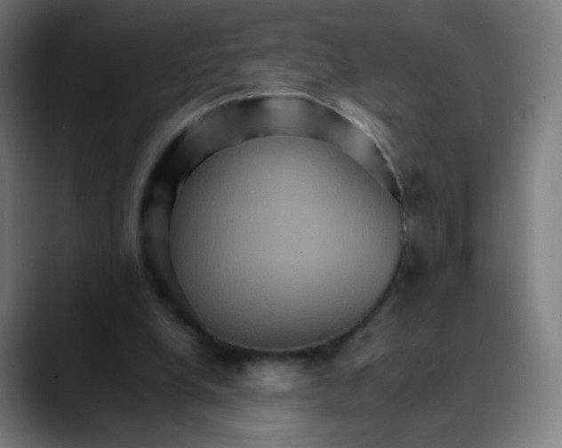 X0000089720248200707121436