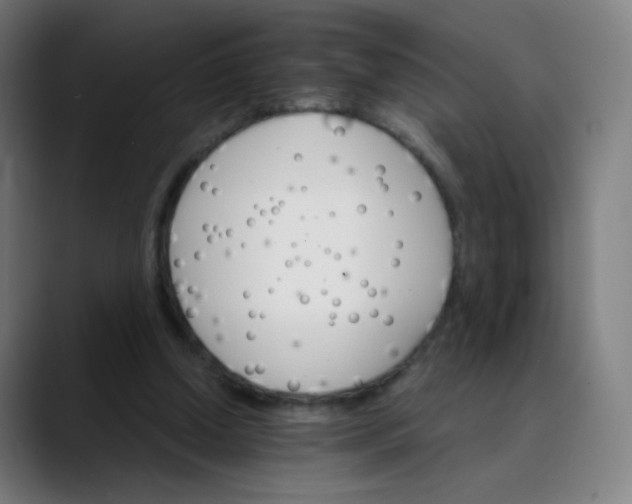 X0000089720250200707121436