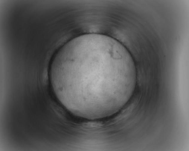 X0000089720251200707121436