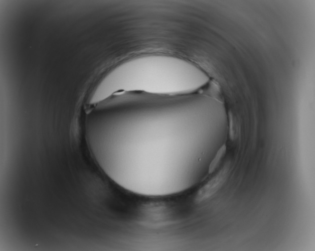 X0000089720252200707121436