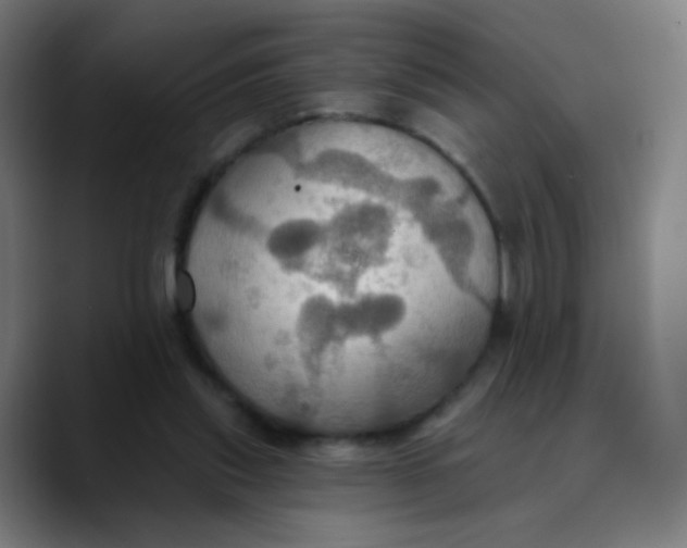 X0000089720253200707121436