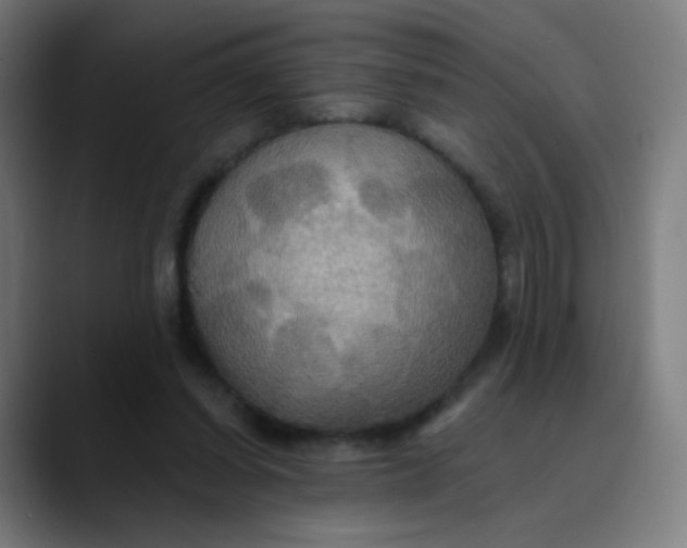 X0000089720254200707121436