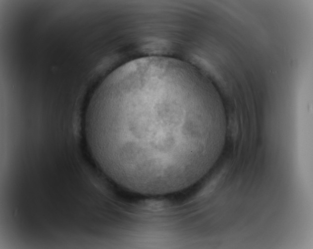 X0000089720255200707121436