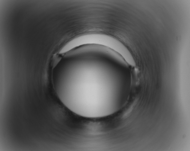 X0000089720256200707121436